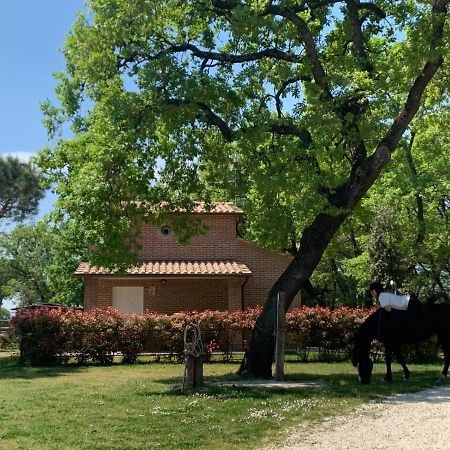 فيلا Casina Miriano كاستيغليون ديل لاغو المظهر الخارجي الصورة